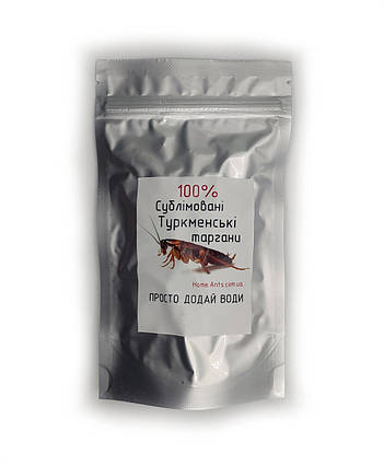 Сублімований Туркменський тарган "Просто додай води!" для : рептилій , їжаків ,  птиць , гризунів M