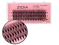 Ресницы пучки ZIDIA CLUSTER LASHES 30D C 0,07 (3 ЛЕНТЫ) 14мм