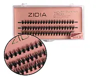 Zidia Cluster lashes 20D MESSY C 0,10 MIX (3 ленты, размер  MIX  (8. 9. 10mm)