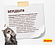 Сухий беззерновий корм Josera Naturelle для стерилізованих котів, профілактика зубного каменю, форель 2 КГ, фото 8