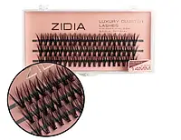 Zidia Cluster lashes 20D C 0,10 (3 ленты, размер 10 mm) 14мм