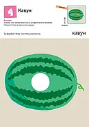 Нумо ще малювати! KUMON, фото 3
