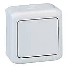 Вимикач 1-клавішний Forix IP44 Сірий [782380] Legrand