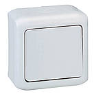 Прохідний вимикач 1-клавішний Forix IP44 Сірий [782383] Legrand