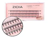 Zidia Cluster lashes 10D C 0,10 Mix S (8. 9. 10 мм)