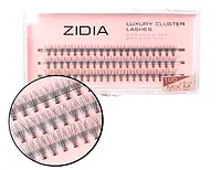 Ресницы пучковые Zidia Cluster lashes 10D C 0,10 Mix (9,10,11)