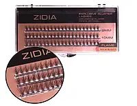 Ресницы пучковые ZIDIA Cluster Lashes 20D Flame Series C 0,10 MIX (9.10.11)