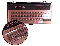 Ресницы пучковые ZIDIA Cluster Lashes 20D Flame Series C 0,10 MIX