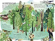 Велика книга: Велика книга птахів, фото 5