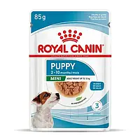 Влажный корм для щенков мини пород Royal Canin Mini Puppy 85г
