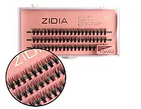 Ресницы пучки ZIDIA CLUSTER LASHES 20D MESSY C 0,10