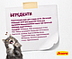 Сухий корм Josera Senior для кішок зі нирковою недостатністю від 7 років, 10КГ, фото 7