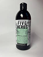 Шампунь Barwa Five Herbs Балансировочный, 480 мл