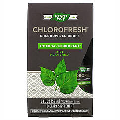 Chlorofresh Mint 40X Liquid - 2 oz