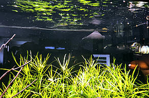 Насадка повернення води, AQUAXER Lily Pipe PRО, Fluval FX6,25 мм. Насадка для зовнішнього фільтра Fluval FX6, фото 4