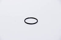 Уплотнительное кольцо термостата, AJUSA (16029000)