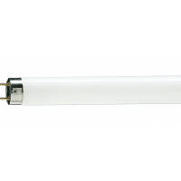 Лампочка Philips TL-D G13 1200mm 36W/33-640 1SL/25 (928048503351) мрія(М.Я)