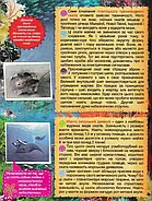 Підводний світ. Дитяча енциклопедія (синя), фото 3