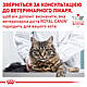 Сухий корм Royal Canin Neutered Satiety Balance (Неутеред Сетаіті Баланс) для кастрованих котів, 3.5 КГ, фото 3