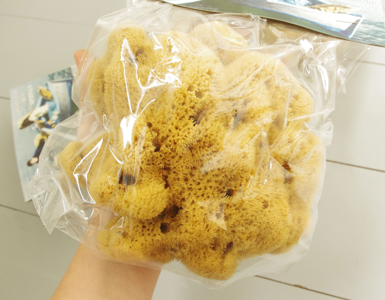 Морская губка Fina Silk для тела, натуральная, 15-16 см, Греция ...