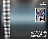 Алмазна мозаїка Чарівний Львів 40х50, фото 2