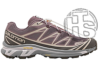 Жіночі кросівки Salomon XT-6 Monscape Plum Kitten Gull Grey L47136300