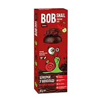 Натуральные Яблочно-Вишневые Конфеты в Черном шоколаде ТМ BOB SNAIL (УЛИТКА БОБ) 30 г