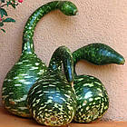 Лагенарія Кобра GL Seeds 5 шт, фото 2