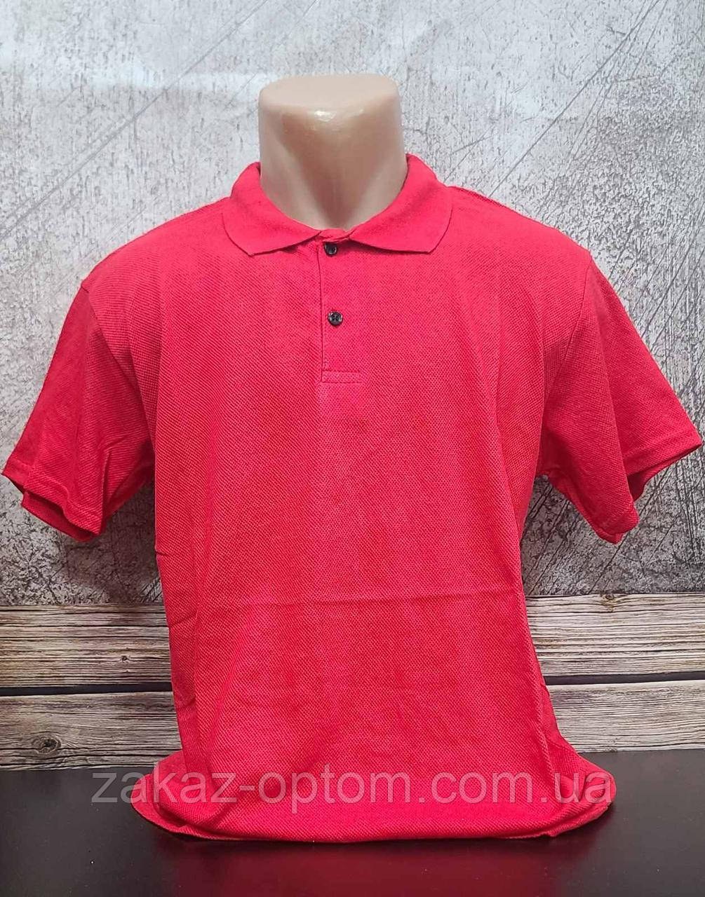 Футболка чоловіча поло Батал оптом (2XL-6XL) Туреччина-115176