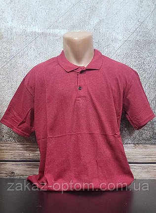 Футболка чоловіча поло Батал оптом (2XL-6XL) Туреччина-115178, фото 1