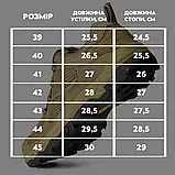 Тактичні кросівки ESDY SK-7-8 на автошнурівці Койот 39 (3_04209), фото 2