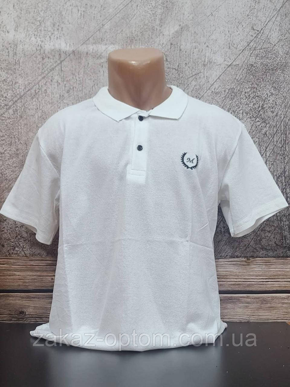 Футболка чоловіча поло Батал оптом (2XL-6XL) Туреччина-115184