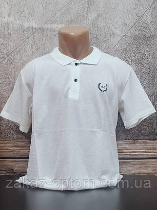 Футболка чоловіча поло Батал оптом (2XL-6XL) Туреччина-115184, фото 1