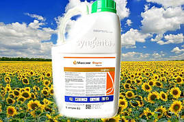 Максим Форте 5 л Syngenta фунгіцидний протравник насіння для пшениці, ячменю
