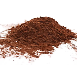 Чага березовий порошок 100 гр Карпати