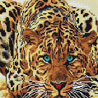 Алмазная вышивка «Леопард» (Код:088-ST-S)