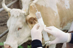 Ветеринарні препарати