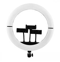 LED лампа 36 см V36 Кільцева Black