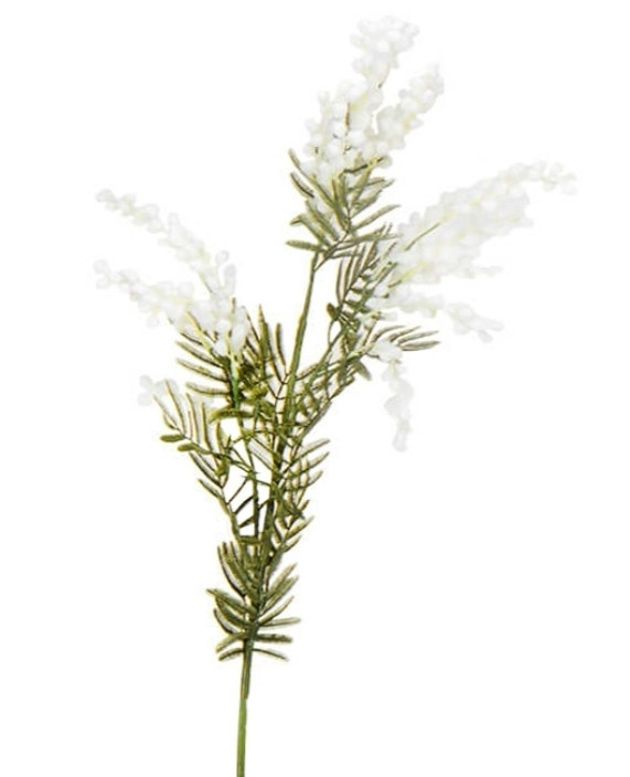 Гілка мімози біла велика, фото 1