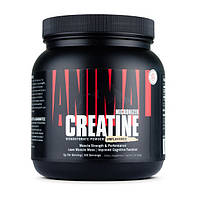 Креатин моногидрат Universal Nutrition Creatine 500 g pure