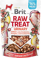 112134 Brit Raw Treat Urinary Freeze-dried с индейкой, 40 гр