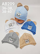 Дитячі польські демісезонні трикотажні шапки для мальчиков, р.36-38 38-40, Ala Baby