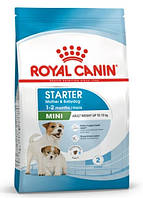 Сухой полнорационный корм Royal Canin Mini Starter для щенков и кормящих собак мини пород 1 (кг)