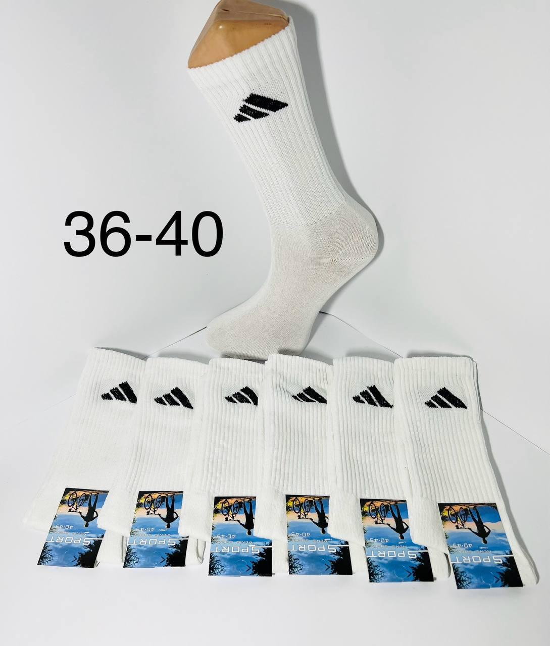 Шкарпетки демісезонні 12 пар спортивні високі тенісна гумка з бавовни Adidas розмір 36-40 білі