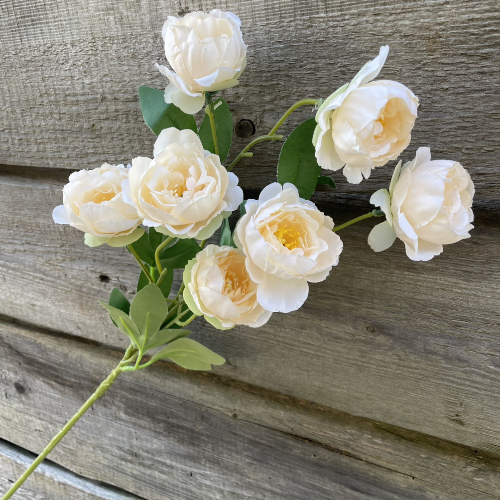 Гілка Троянда півонідна 76 см. персиковий