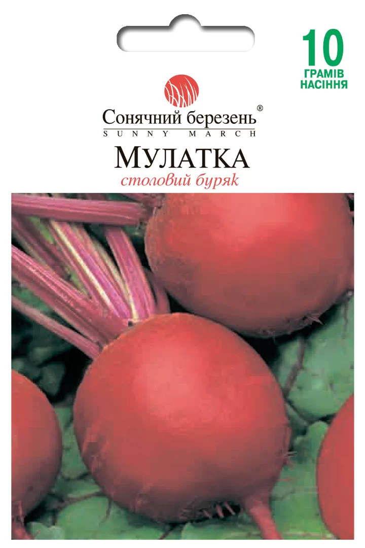 Насіння столового буряка Мулатка,10гр
