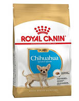 Сухий корм Royal Canin Chihuahua Puppy для цуценят породи чихуахуа від 2 до 8 місяців 500 (г)