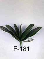 Корень орхидеи F-181