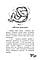 Марина Павленко "Русалонька із 7-В проти Русалоньки з Білокрилівського лісу", фото 2
