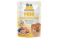 Влажный корм для собак Brit Care Mini pouch 85 g филе в соусе (лосось и кролик)